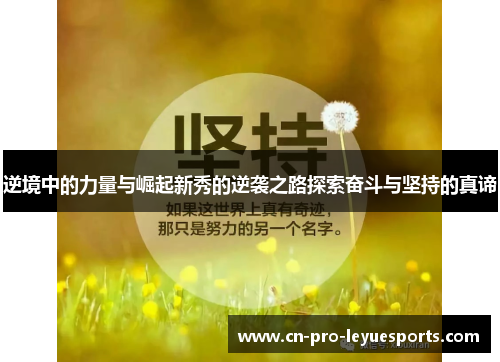 逆境中的力量与崛起新秀的逆袭之路探索奋斗与坚持的真谛