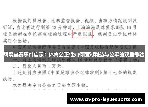 魏震禁赛事件启示：体育公正性如何面对利益与公平的双重考验