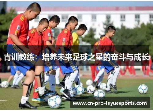 青训教练：培养未来足球之星的奋斗与成长